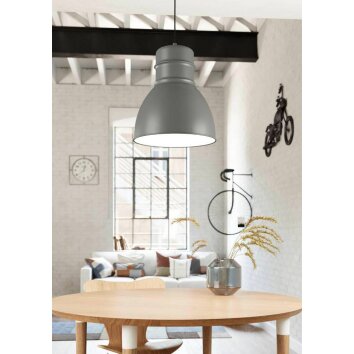 Suspension Eglo-Leuchten EBURY Gris, Blanc, 1 lumière