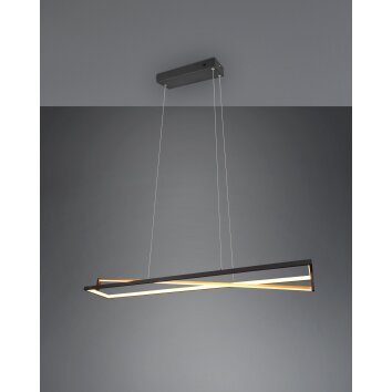 Suspension Trio-Leuchten Edge LED Noir, 1 lumière