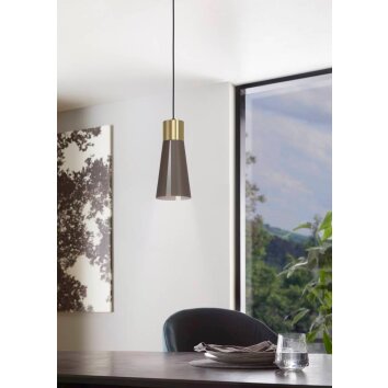 Suspension Eglo-Leuchten LOSALOMAS LED Laiton, Moka, 1 lumière