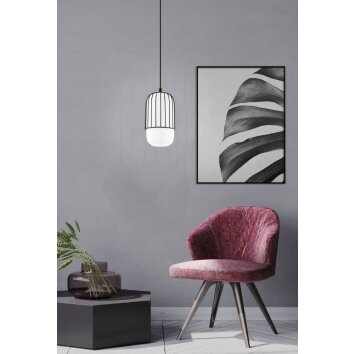 Suspension Eglo-Leuchten MULEGES Noir, 1 lumière