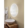 lampe miroir Eglo-Leuchten BUENAVISTA LED Argenté, 1 lumière