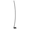 Lampadaire Eglo-Leuchten PICACHA LED Noir, 1 lumière