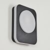 Applique murale d'extérieur Haga LED Noir, 1 lumière