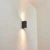 Applique murale d'extérieur Skaabu Noir, Blanc, 2 lumières