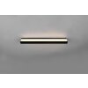 Applique murale Trio-Leuchten Rocco LED Noir, 1 lumière