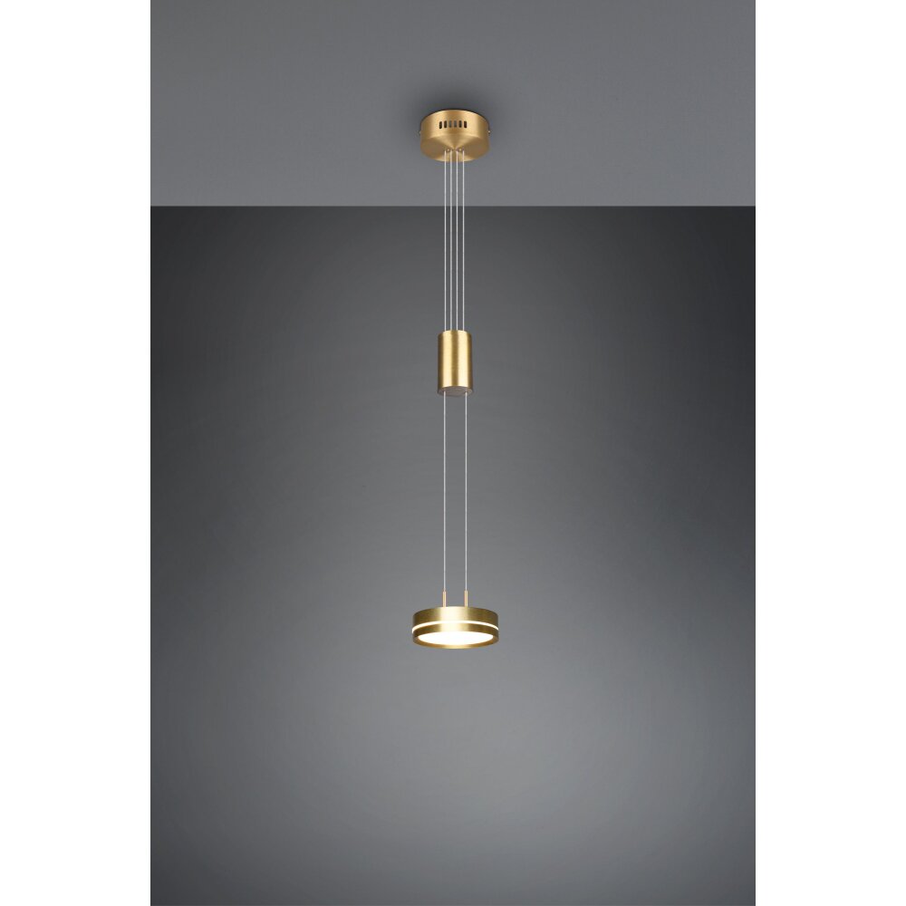 Suspension Trio-Leuchten Franklin LED Laiton, 1 lumière main product photo