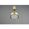 Suspension Trio-Leuchten Franklin LED Laiton, 1 lumière