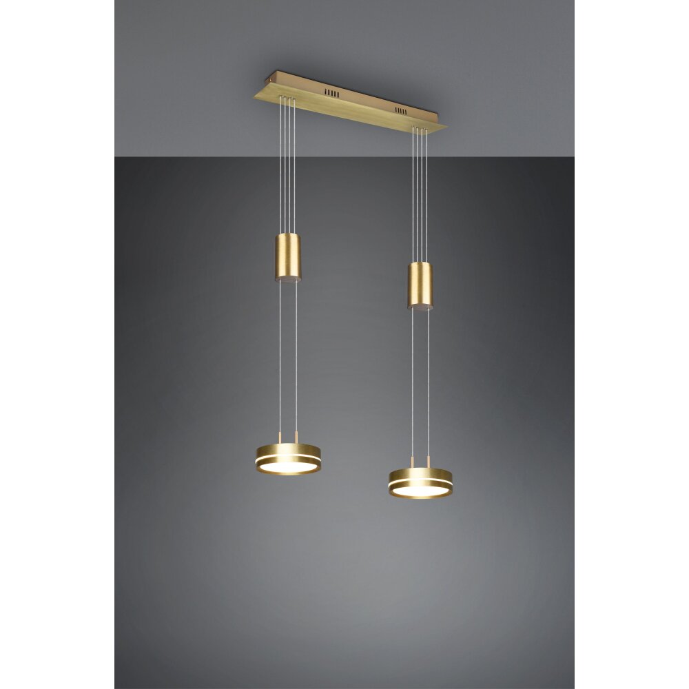 Suspension Trio-Leuchten Franklin LED Laiton, 2 lumières main product photo