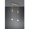 Suspension Trio-Leuchten Franklin LED Laiton, 2 lumières
