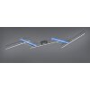 Plafonnier Trio-Leuchten Arvin LED Noir, 2 lumières, Télécommandes, Changeur de couleurs