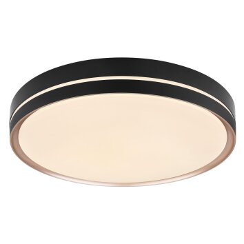 Plafonnier Globo MANNI LED Bronze, Noir, 1 lumière, Télécommandes