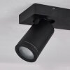 Plafonnier Hakamken LED Noir, 2 lumières