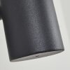 Applique murale d'extérieur Bubodefo Anthracite, 1 lumière