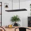 Suspension Luturula LED Noir, 1 lumière