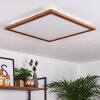 Plafonnier Raimea LED Blanc, 1 lumière