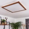 Plafonnier Raimea LED Blanc, 1 lumière