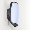Applique murale d'extérieur Svea LED Anthracite, 1 lumière