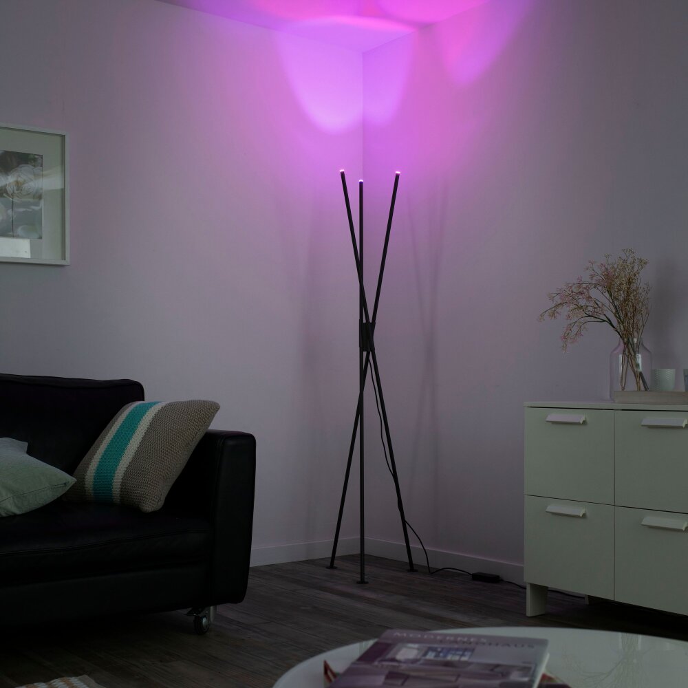 Lampadaire Paul-Neuhaus Q-PETER LED Anthracite, 3 lumières, Télécommandes main product photo