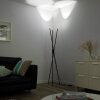 Lampadaire Paul-Neuhaus Q-PETER LED Anthracite, 3 lumières, Télécommandes