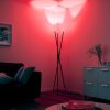 Lampadaire Paul-Neuhaus Q-PETER LED Anthracite, 3 lumières, Télécommandes