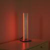 Lampe de table Paul-Neuhaus Q-ADRIANA LED Aluminium, 2 lumières, Télécommandes