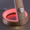 Lampe de table Paul-Neuhaus BILL LED Laiton, 2 lumières