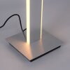 Lampadaire Paul-Neuhaus Q-ADRIANA LED Aluminium, 2 lumières, Télécommandes
