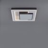 Plafonnier Paul-Neuhaus Q-ALTA LED Noir, 1 lumière, Télécommandes