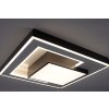 Plafonnier Paul-Neuhaus Q-ALTA LED Noir, 1 lumière, Télécommandes