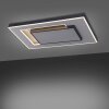 Plafonnier Paul-Neuhaus Q-ALTA LED Noir, 1 lumière, Télécommandes