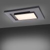 Plafonnier Paul-Neuhaus Q-ALTA LED Noir, 1 lumière, Télécommandes
