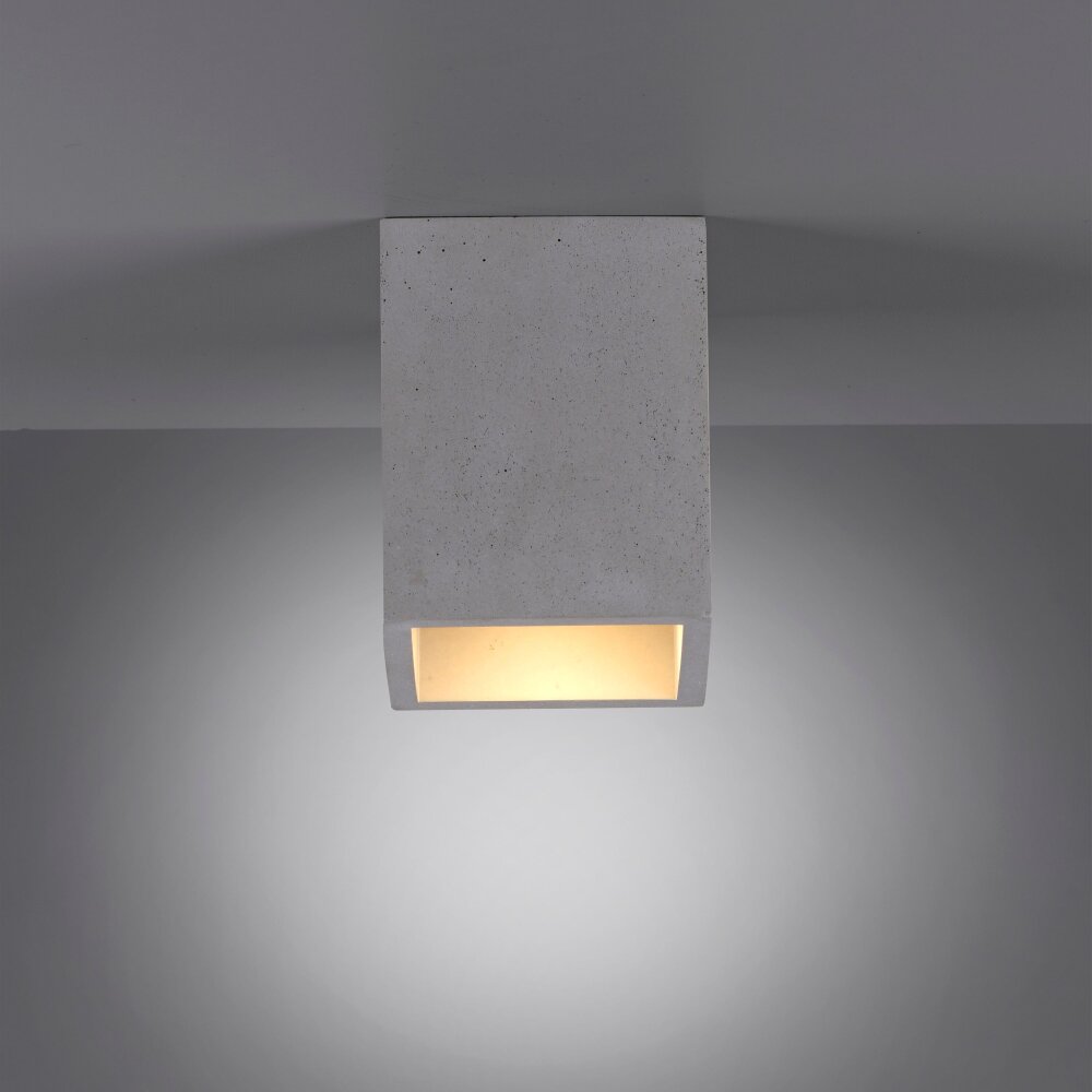 Plafonnier Paul-Neuhaus ETON Gris, Noir, 1 lumière main product photo