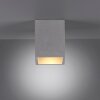 Plafonnier Paul-Neuhaus ETON Gris, Noir, 1 lumière