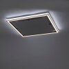Plafonnier Paul-Neuhaus HELIX LED Aluminium, 2 lumières, Télécommandes