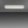Plafonnier Paul-Neuhaus Q-KAAN LED Acier brossé, 2 lumières, Télécommandes