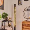 Lampadaire Rodeche LED Laiton, Noir, 1 lumière