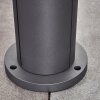 Borne lumineuse Home LED Anthracite, 1 lumière