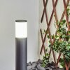 Borne lumineuse Home LED Anthracite, 1 lumière