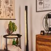 Lampadaire Rodeche LED Nickel mat, Noir, 1 lumière