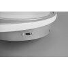 Plafonnier Reality Vuelta LED Titane, 1 lumière