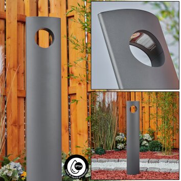 Borne lumineuse Narunteno LED Anthracite, 1 lumière