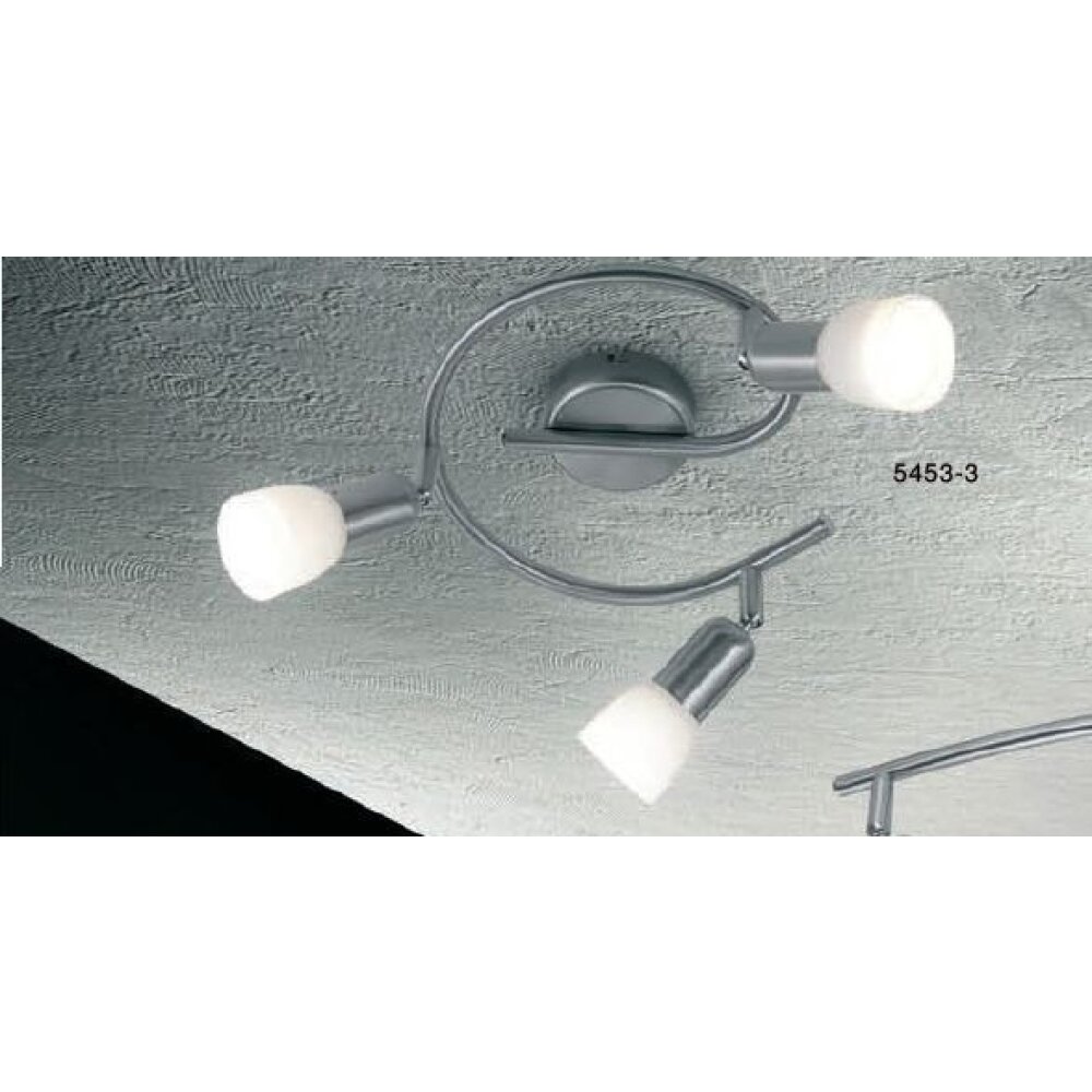 Spot Globo CATHY Acier inoxydable, Nickel mat, 3 lumières main product photo