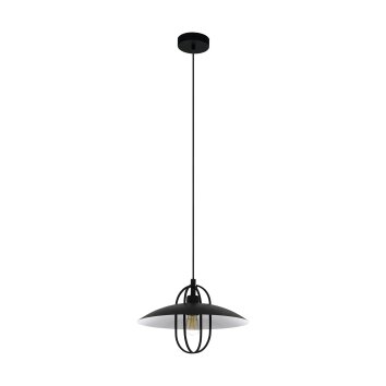 Suspension Eglo CREGAN Noir, Blanc, 1 lumière