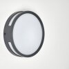 Applique murale d'extérieur Chiavari LED Anthracite, 1 lumière