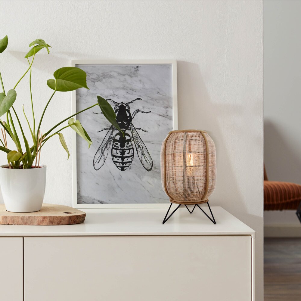 Lampe de table Brilliant-Leuchten Tanah Noir, 1 lumière main product photo