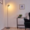 Lampadaire Umag LED Acier inoxydable, 1 lumière