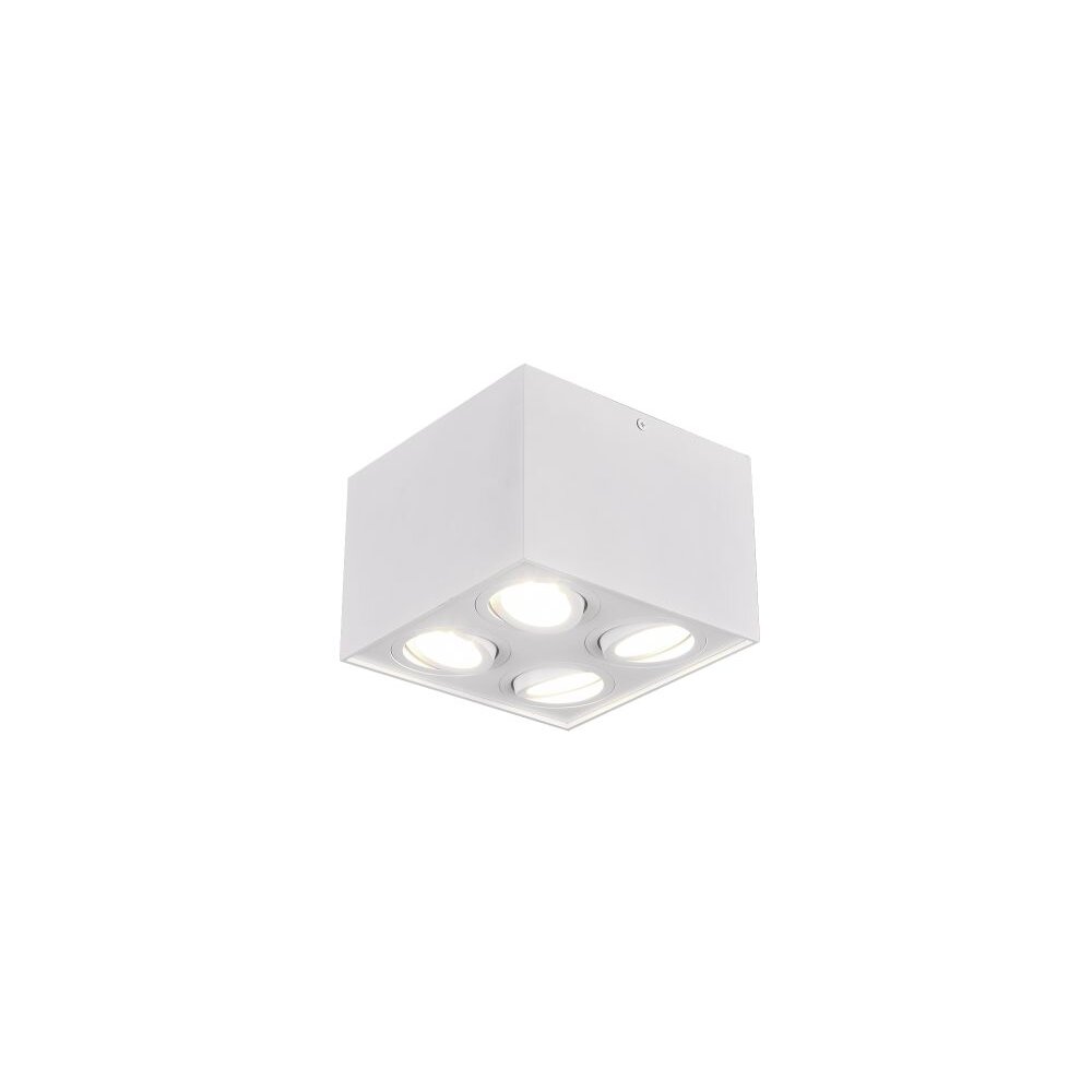 Plafonnier Trio Leuchten BISCUIT Blanc, 4 lumières main product photo