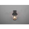 Applique murale Trio-Leuchten Cavado Anthracite, 1 lumière