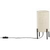 Lampe de table Brilliant-Leuchten Fairhill Noir, 1 lumière