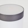 Borne lumineuse Gaborone Anthracite, 1 lumière, Détecteur de mouvement